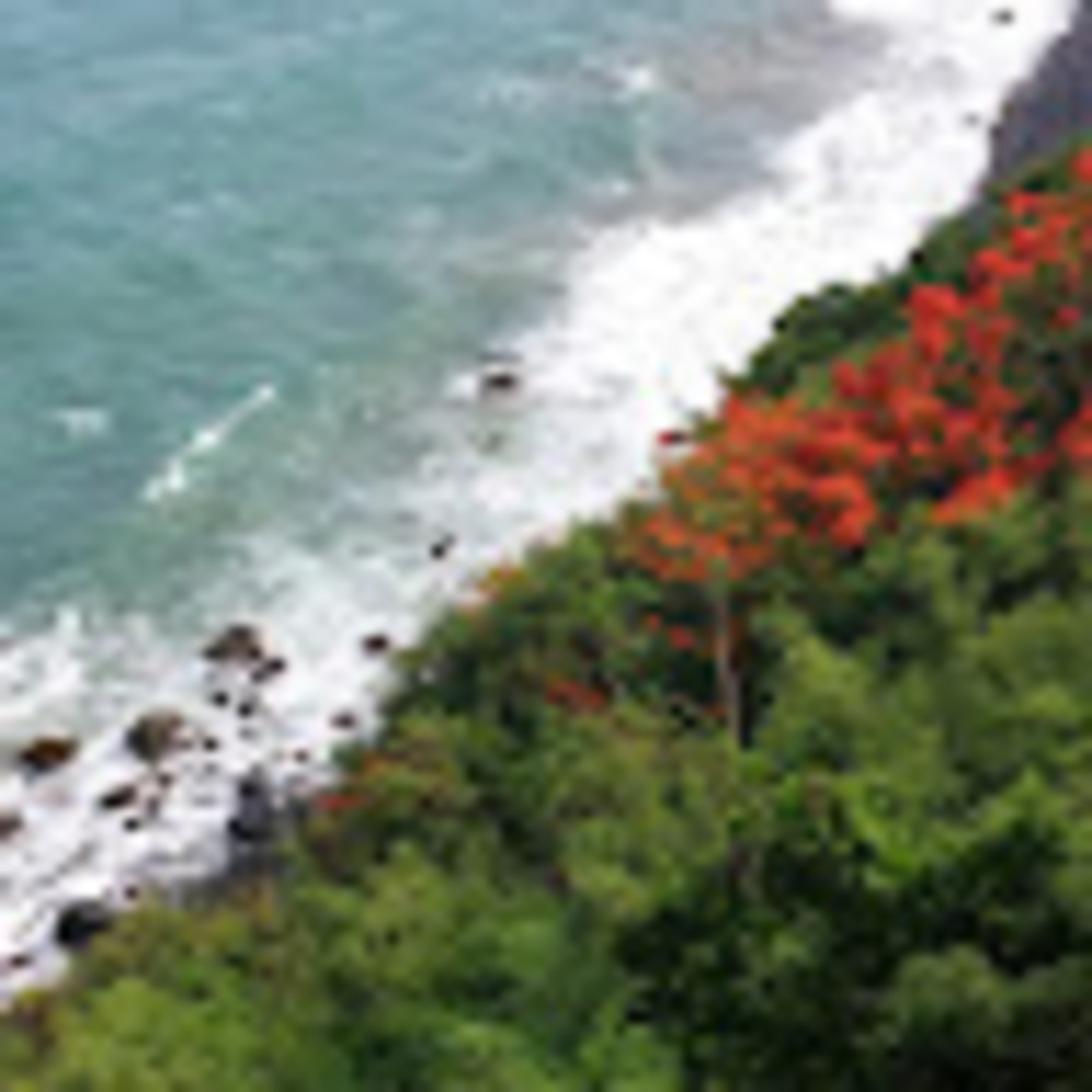 Meet your Posher, Maru